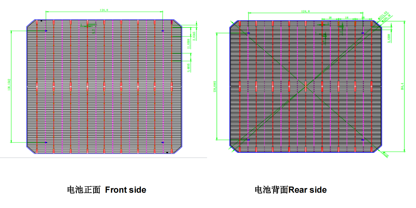 topcon 166mm solar cell drawing picture